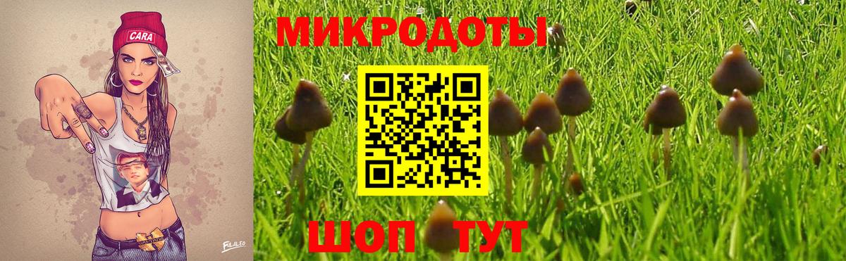 Псилоцибиновые грибы прущие грибы Лангепас