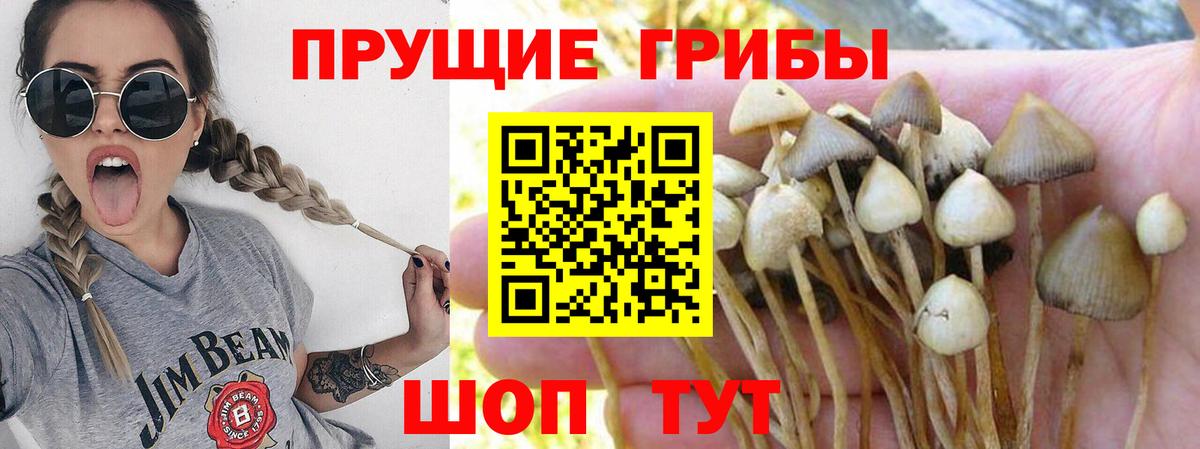 Псилоцибиновые грибы прущие грибы  Псилоцибиновые грибы мицелий  Вход с VPN  Лангепас 